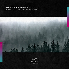 Alexithymia (Original Mix) [Melodic Deep]