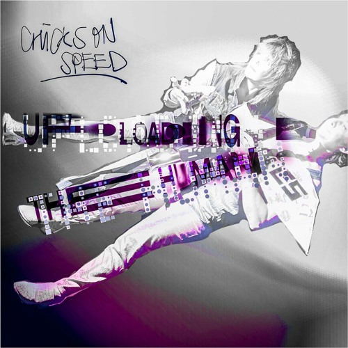 Chicks on Speed - Uploading The Human