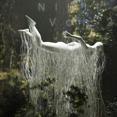 Land of Digital Void (from NIHIL Vol.2)