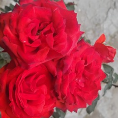 Nyla Flowin (prod. Saimatics)