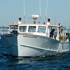 Review Special Price Educational Lobster Tour From Newport Rhode Island