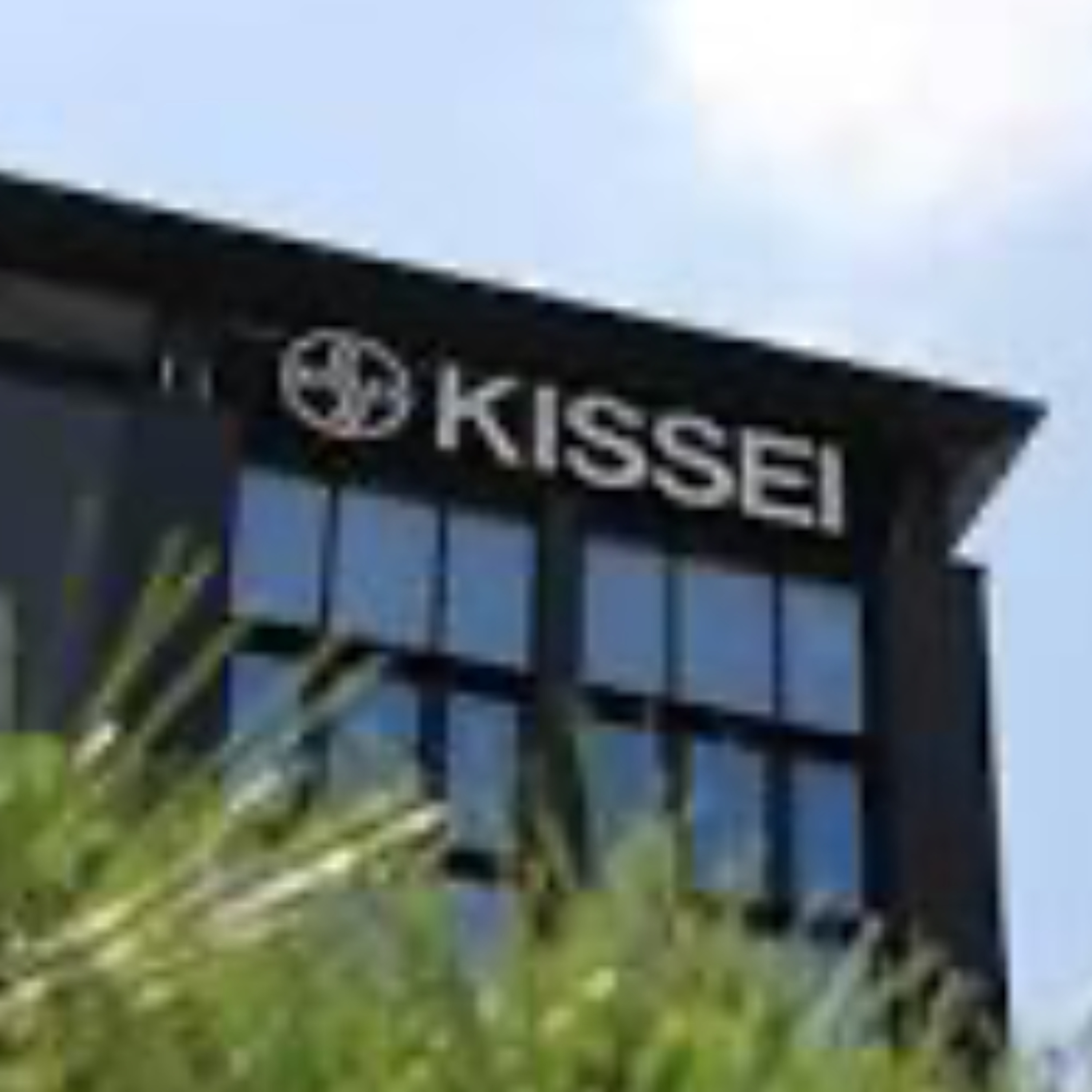 Kissei Ordered to Warn over Vasculitis Drug after Fatalities