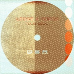 Wiesè & Moess - Your Soul (Lopez Dj Remix) [Dirty stuff Records]