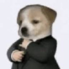 i went to the femtanyl show yesterday