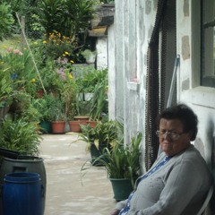 luísa (c/ guilherme basta & casoeumorra)