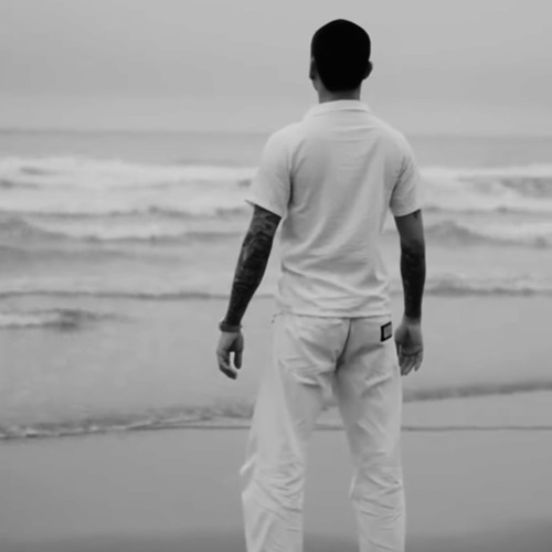 Người Lục Bình Tôi - Dr. Mai Đích Loong ft. Ly Kim Báp, NoBíTu