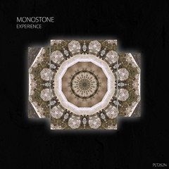PREMIERE: Monostone -  Experience (Original Mix) [Polyptych Noir]