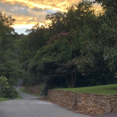 Windy lane’s