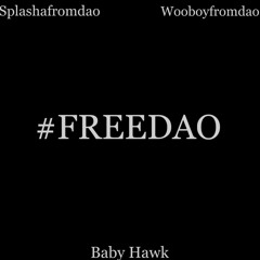 #FREEDAO FREESTYLE (feat. Baby Hawk & Splashafromdao)