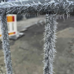 Ulf - Carol of Bass (Raw Project Progressions)