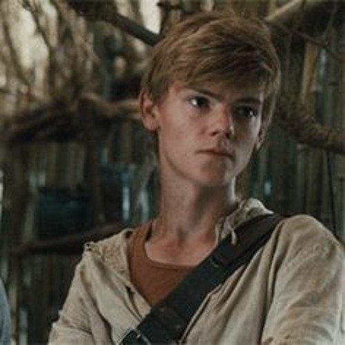 NEWT, Wikia The Maze Runner