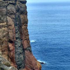 Demigod/ Stytz Syndicate