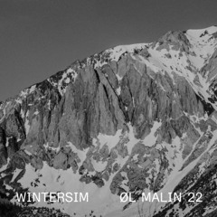 Ale Malin MIX022 - Winterism