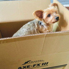 28.07 wonderB (AXE FX III New firmware Testdrive)