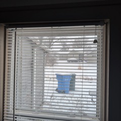 Winter's Tale - Steven Blessinger.mp3