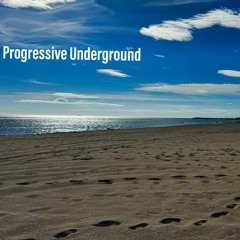Dani-C - Progressive Underground @ Proton Radio 103 [Dec] 2023 Sc Edition