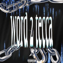 word 2 tecca