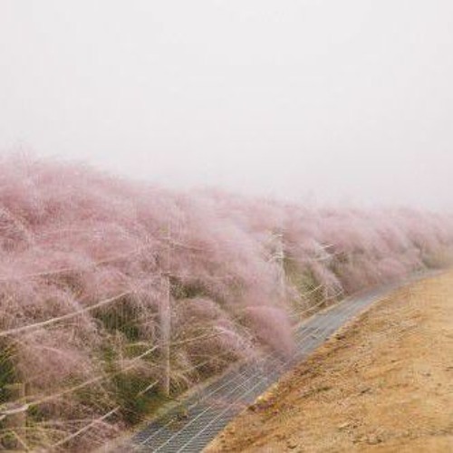 ludovico einaudi drop [slowed nd reverbed]