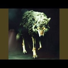 Set It Off - Wolf In Sheep's Clothing [REBORN]