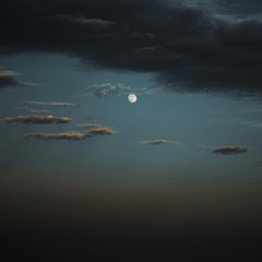 ʟᴏꜰɪ ʙᴇᴀᴛꜱ