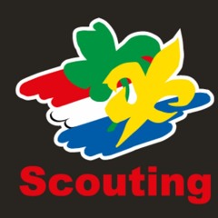 Scouting