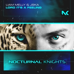 Liam Melly & JSKA - Lord It's A Feeling TEASER