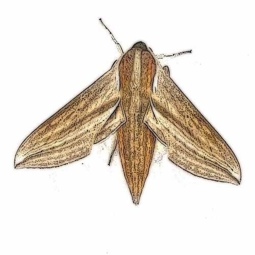 Everytime I Close My Eyes