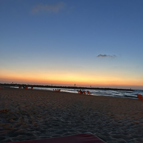 Bardak  shel a life 🌅set🔥