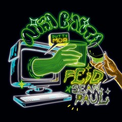 Feid & Sean Paul - Niña Bonita (Acapella Studio) (Starter + Break + Intro) (Clean & Dirty) 6 Edits