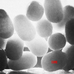 Fraunhofer Diffraction - Cure