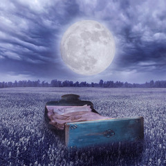 Haley Ryen, Talking To The Moon by Bruno Mars