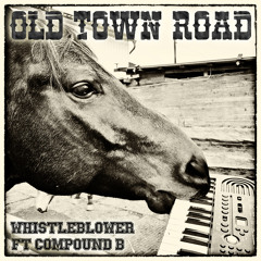 Old Town Road (Dance Monkey Dubstep Remix Edit)