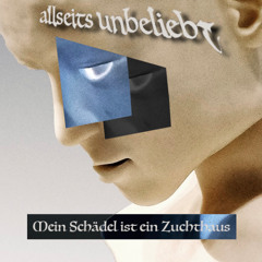 Mein Schädel ist ein Zuchthaus