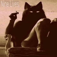 MSCA - Nine Lives