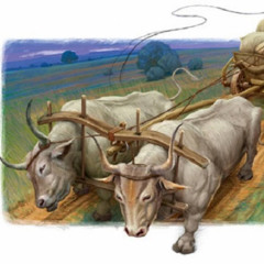 Voly Empire - Січові Воли