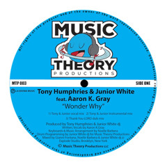 Wonder Why (Tony & Junior Vocal Mix) [feat. Aaron K. Gray]