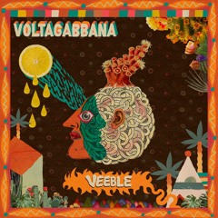 Voltagabbana