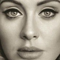 Adele ~ When we were young remix