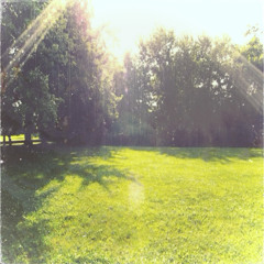 SOLACE