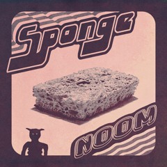 Sponge Master P3