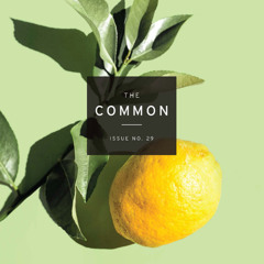 "City / Non-City" by Yara Ghunaim