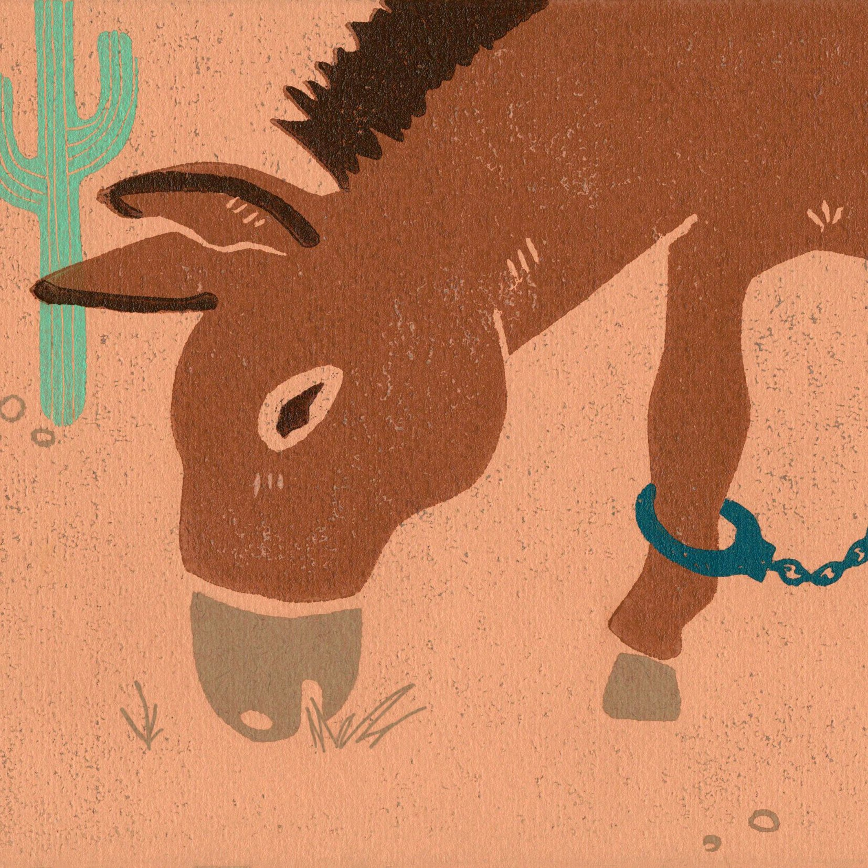 The unsexy burro
