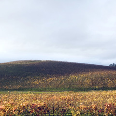 having fun in 2023 mp3