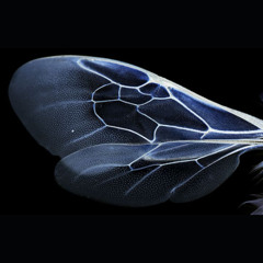 love, a thousand years ago    ///dj set///