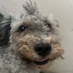 Ba€k🆙Ba€k🆙 (prod.Prodbyculture)