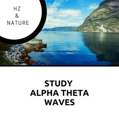 6Hz Theta Waves with Ocean Seagull