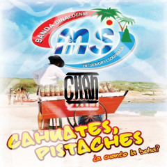 Banda MS - Cahuates, Pistaches (Chan Flip)