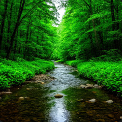 Wild River