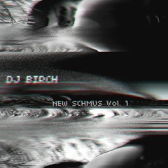 djversity! Radio Special — DJ BIRCH /// New Schmus Vol. 1