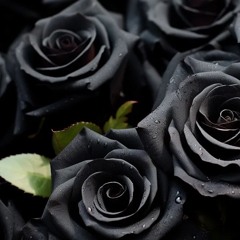 Lush